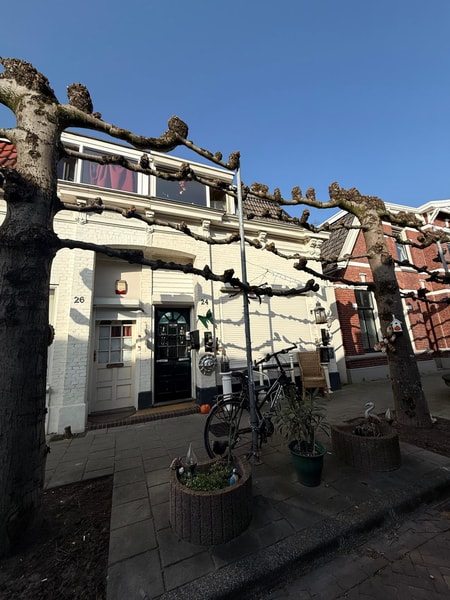Pyrmontstraat 24